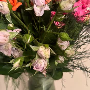 İstanbul Çiçekleri Uygulamasından Verilen Çiçek Buketi Şikayeti