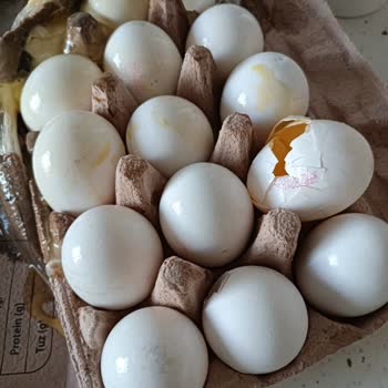 Migros Sanal Marketin Teslimat Hatası