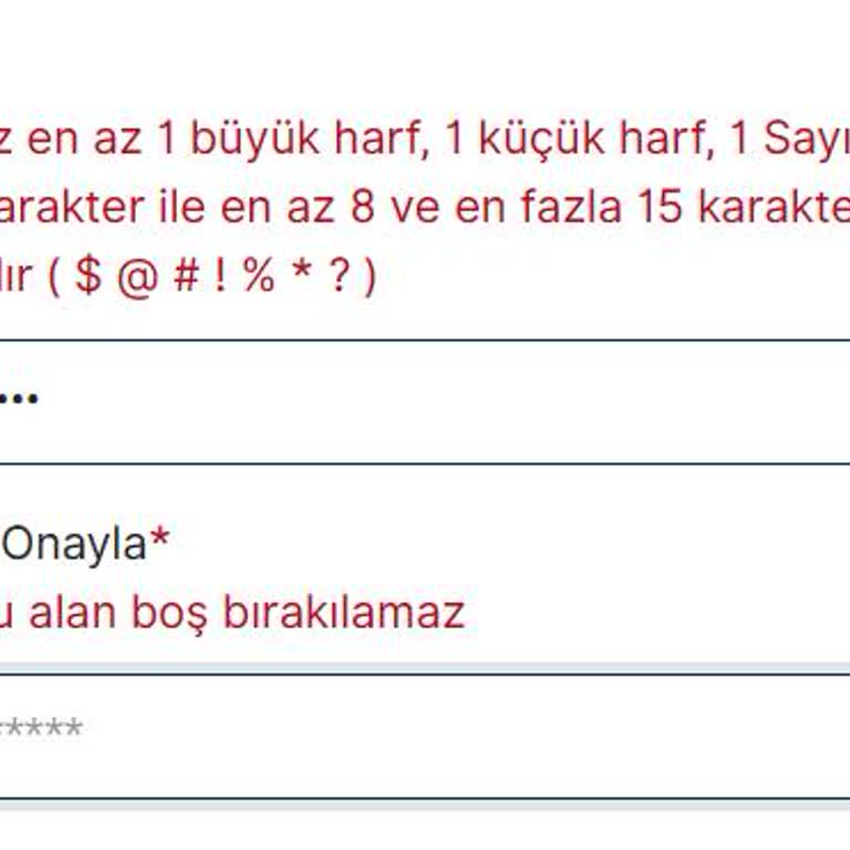 VFS Globalin Şifre Verme Sıkıntısı