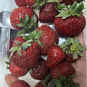 Getir Çürük Ve Olgunlaşmamış Meyve Gönderdi