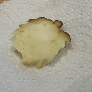 Güngör Ersoylar Firmasının İsli Saçaklı Peynirinin İçinde Çıkan Kıl