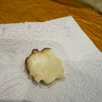 Güngör Ersoylar Firmasının İsli Saçaklı Peynirinin İçinde Çıkan Kıl