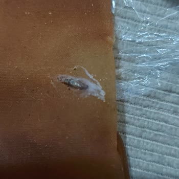 Güven Kuruyemişten Alınan Dut Pestilinden Pislik Çıktı