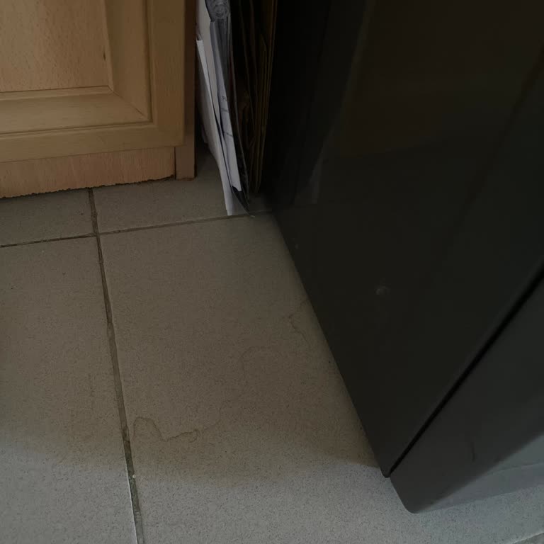 Samsung Çamaşır Makinesi Servisi Fahiş Fiyatlar
