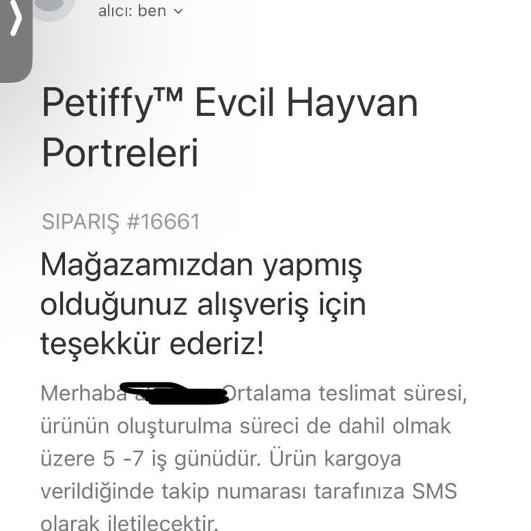 Petiffy Portre Siparişimde Yaşadığım Sorunlar