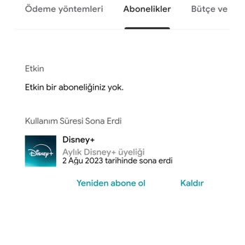 Remini Aboneliğimi İptal Edemiyorum