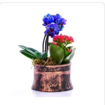 Lilyana Flowers Çiçek Eklemeden Ürün Gönderiyor
