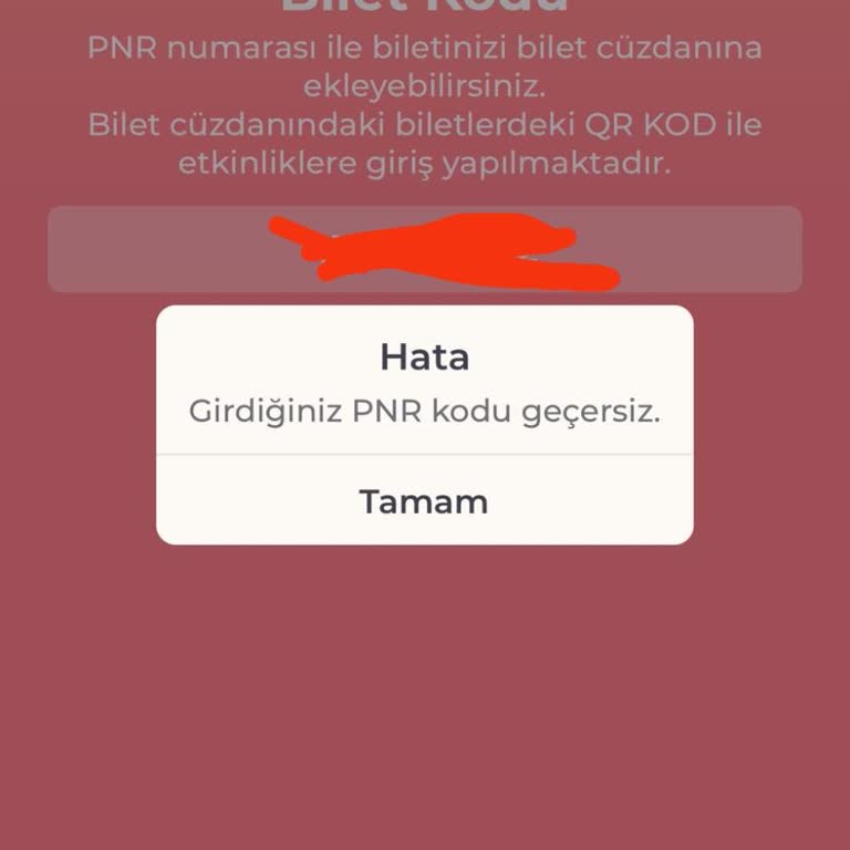 Milyon Bilet Geçersiz PNR Numarası Hatası