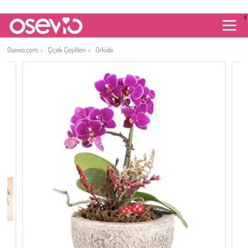 Osevio.com Sorunu Çözün Artık