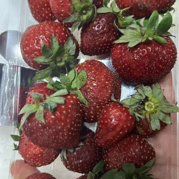 Getir Çürük Ve Olgunlaşmamış Ürün Gönderdi