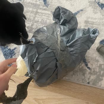 Shopier Eksik Ürün Teslimi Ve İletişim Sorunu