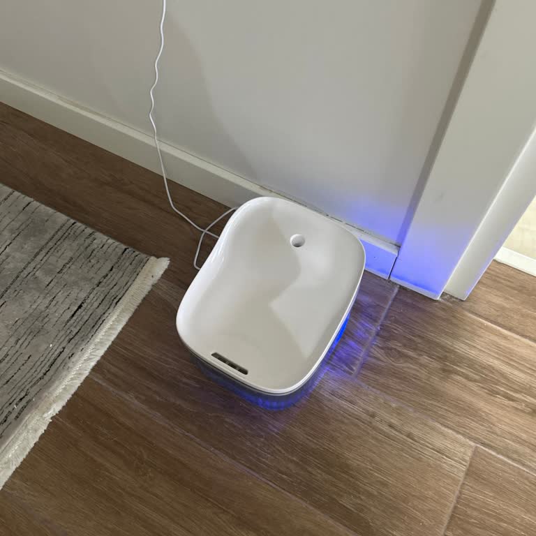 A101 Kiwipets Kedi Su Pınarı 2 Ay İçinde Bozuldu