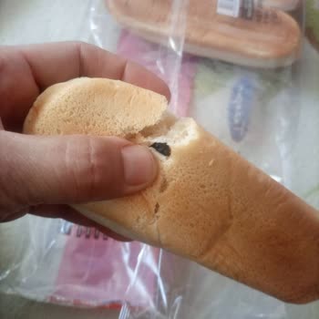 UNO (tazepan) Ekmekten Salyangoz Çıktı