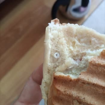 UNO (tazepan) Ekmekten Salyangoz Çıktı