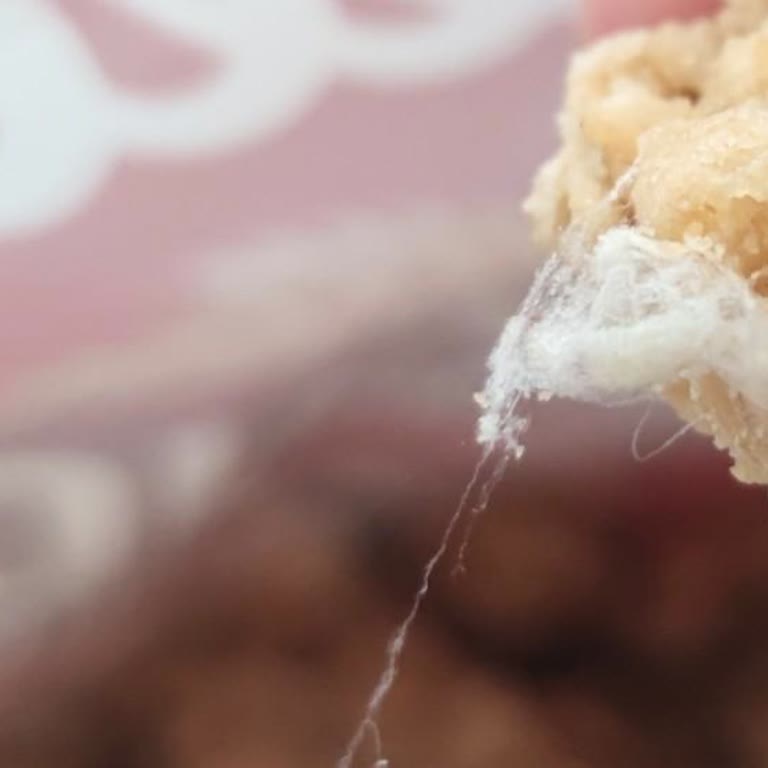 Kellogg's Markalı Üründen Kozalı Kurtçuk Çıktı.