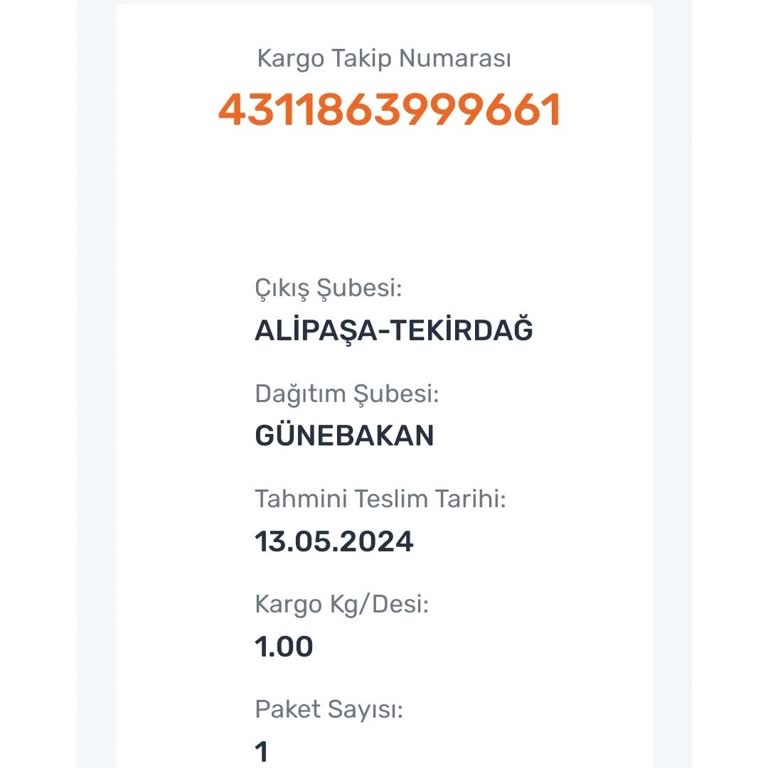 Aras Kargo Geciken Teslimat Süresi