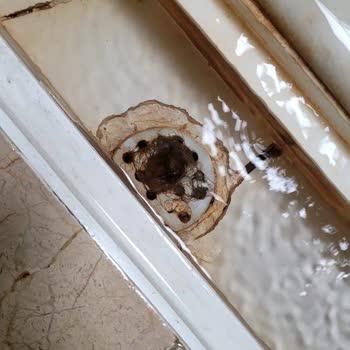 Vanna Deluxe Termal Hotel Vanna Deluxe Termalde Rezil Ve Pis Bir Gün Geçirmemiz