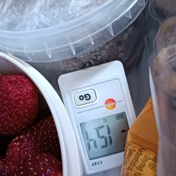 Bosch Refrigerator KGN76AW30N/08 Cooling Failure