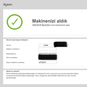 Dyson Şarj Cihazımı Kaybetti