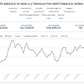 Denizbank Ve Metlife Ortaklığında BES Üzerinden Yapılan İşlemler