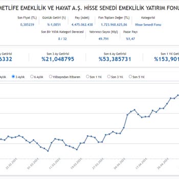 Denizbank Ve Metlife Ortaklığında BES Üzerinden Yapılan İşlemler