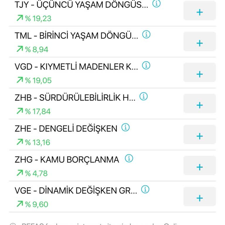Türkiye Hayat Emeklilik Befas Fon Sorunu