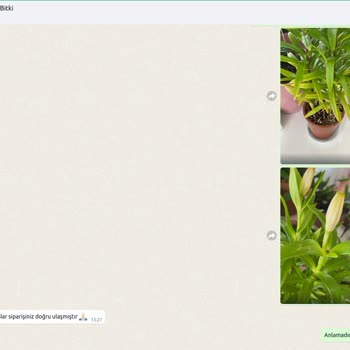 Her Yer Bitki Mağduriyeti