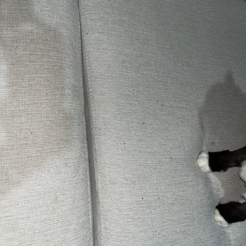 Belmo Mobilya (Samsun) İlgisiz Ürünlerine Sahip Çıkmayan Bir Marka