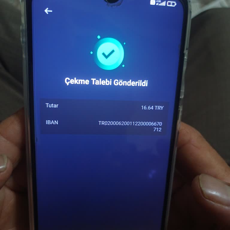 Binance Yatırım Kazancımı Alamıyorum: Sigorta Bahanesi