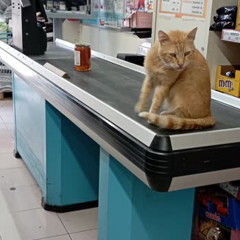 A101 Gençosman Mağazası Hijyen Sorunsalı