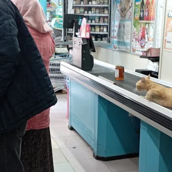 A101 Gençosman Mağazası Hijyen Sorunsalı