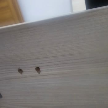 Çilek Mobilya Manisa Malta Cilek Mağazası Ürününün Arkasında Dur