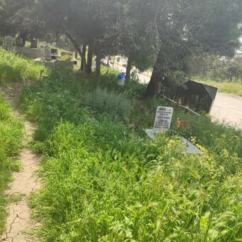 Çerkezköy Belediyesi Veliköy Şehitler Mezarlığı Bakımsızlığı