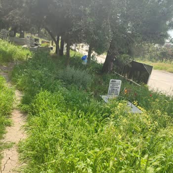 Çerkezköy Belediyesi Veliköy Şehitler Mezarlığı Bakımsızlığı