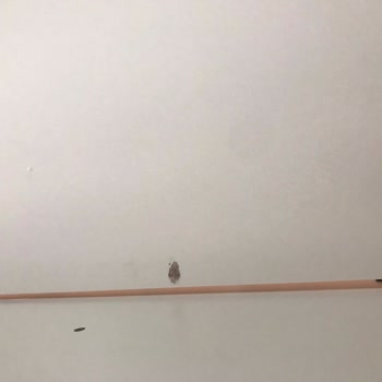 Akçay AVM Ürünleri Kırık Dökük İlgi Desen Sıfır Sırada Tüketici Hakları Var