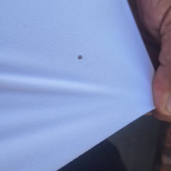 Parliament Sigara Patlaması