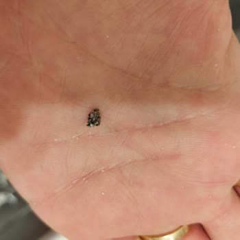 Tatküpü Toz Şekerin İçinden Yabancı Bir Şey Çıktı.