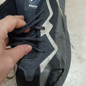 Puma Malının Arkasında Dur.