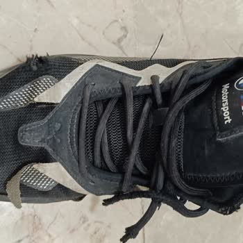 Puma Malının Arkasında Dur.