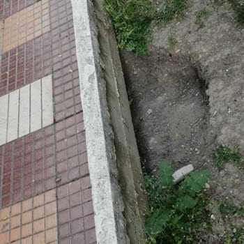 Mamak Belediyesi Köpeklerle Başımız Belada