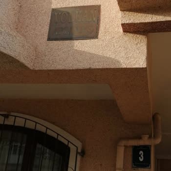 Mamak Belediyesi Köpeklerle Başımız Belada