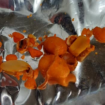 Simbat Kuruyemiş Soslu Fıstıkta İp