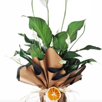 Heryerbitki.com Belirlenen Tarihte Gönderim Yapmıyor Ve Farklı Ürün