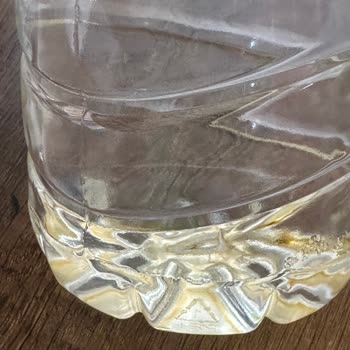 Maysu Hazır Su Diye Güvenip Alıyoruz Sanırım Çeşme Suyu Daha Temiz!