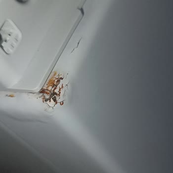 Arçelik Çamaşır Makinesi Paslanma