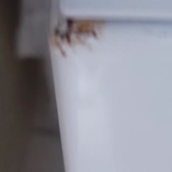 Arçelik Çamaşır Makinesi Paslanma