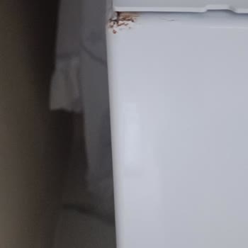 Arçelik Çamaşır Makinesi Paslanma