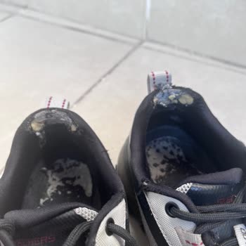 Skechers Max Protect Müşteri Memnuniyetsizliği