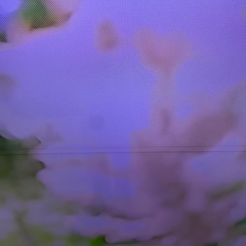 Samsung UE50TU8000 Televizyon Ekran Sorunu