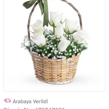 Osevio Com Tamamen Büyük Bir Hataydı